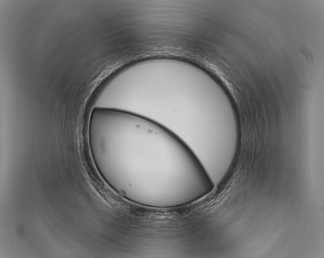 X0000111830443200907231025