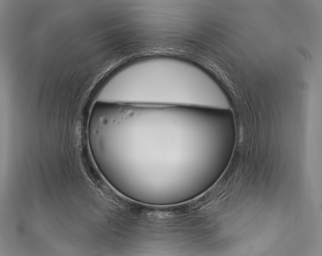 X0000111830444200907231025