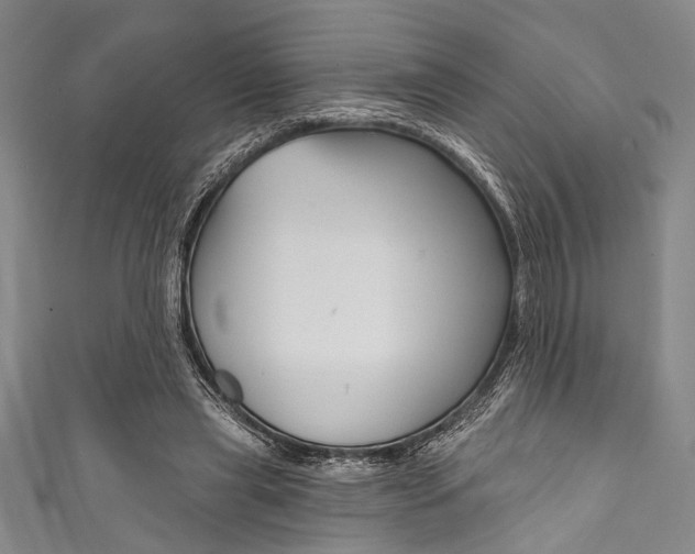X0000111830445200907231025