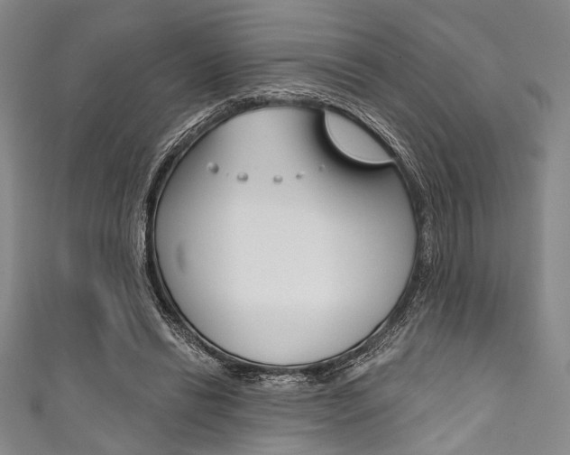 X0000111830446200907231025
