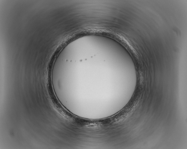 X0000111830447200907231025