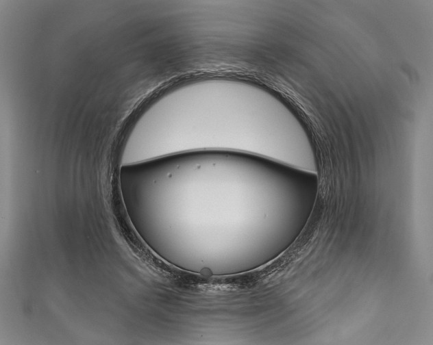 X0000111830448200907231026