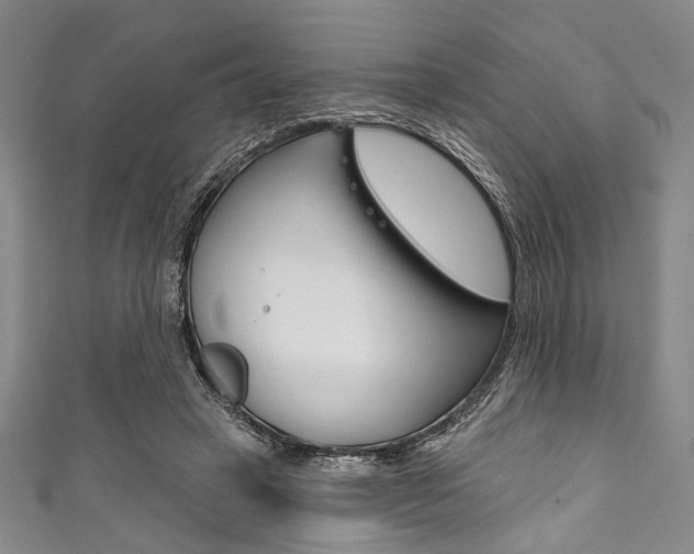 X0000111830449200907231026