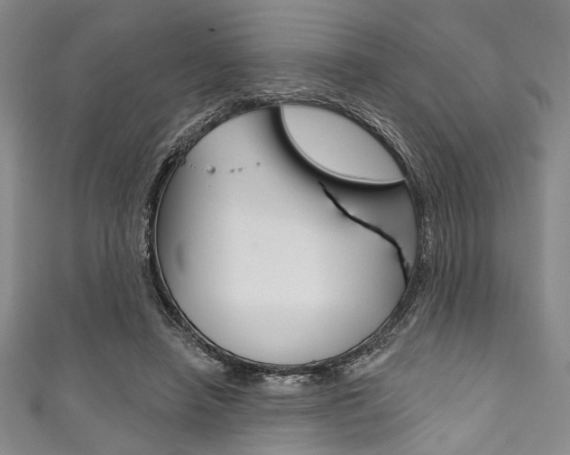 X0000111830450200907231026