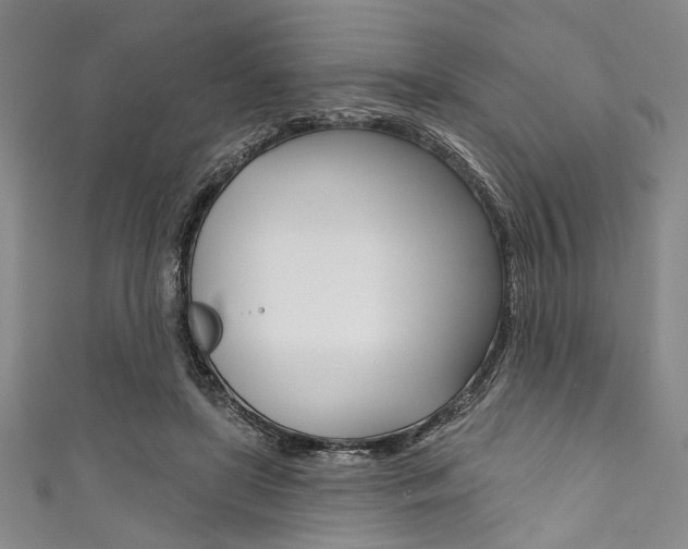 X0000111830451200907231026