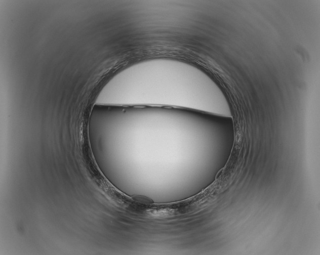 X0000111830452200907231026