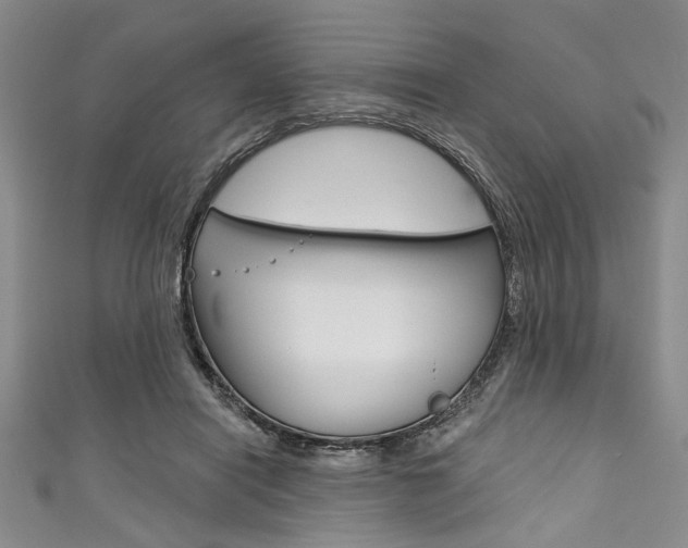 X0000111830454200907231026