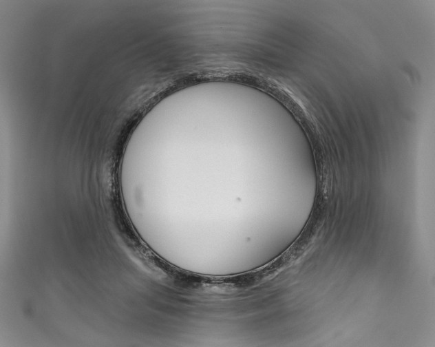 X0000111830455200907231026