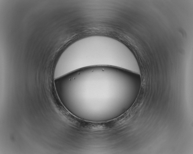 X0000111830456200907231026