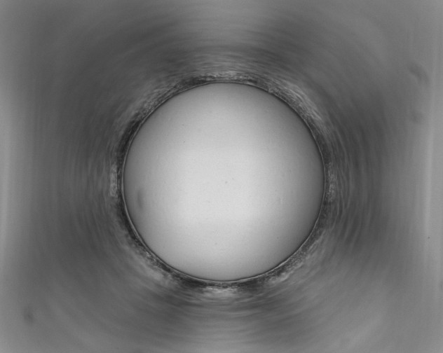 X0000111830457200907231026