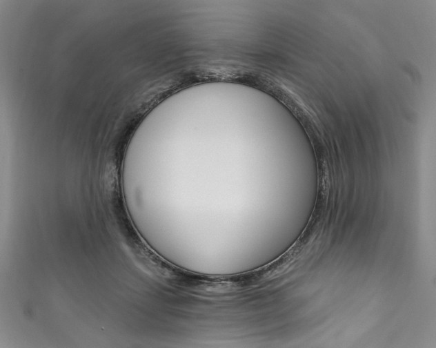 X0000111830459200907231026