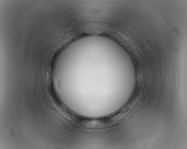 X0000111830460200907231026