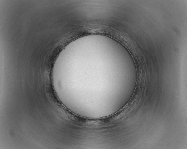 X0000111830461200907231026