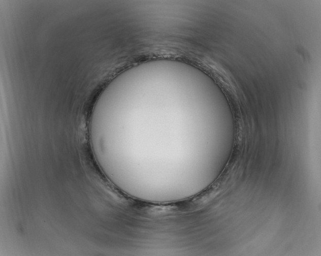 X0000111830465200907231026