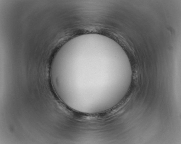 X0000111830466200907231026