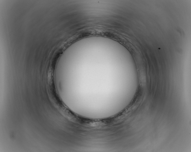 X0000111830468200907231026