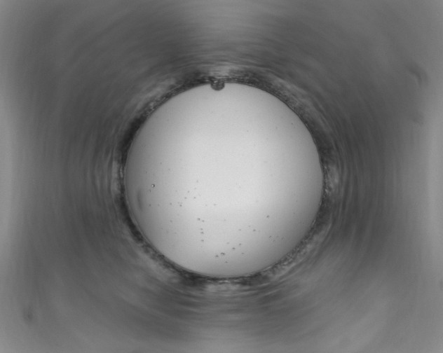 X0000111830470200907231026