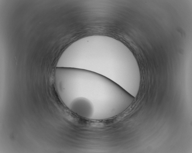 X0000111830471200907231026