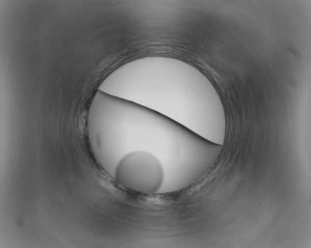 X0000111830475200907231026