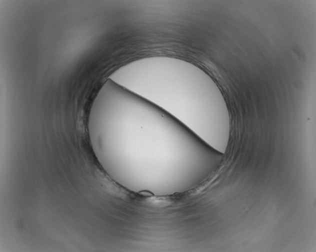 X0000111830477200907231026