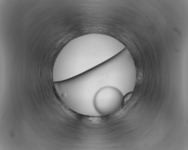 X0000111830478200907231026