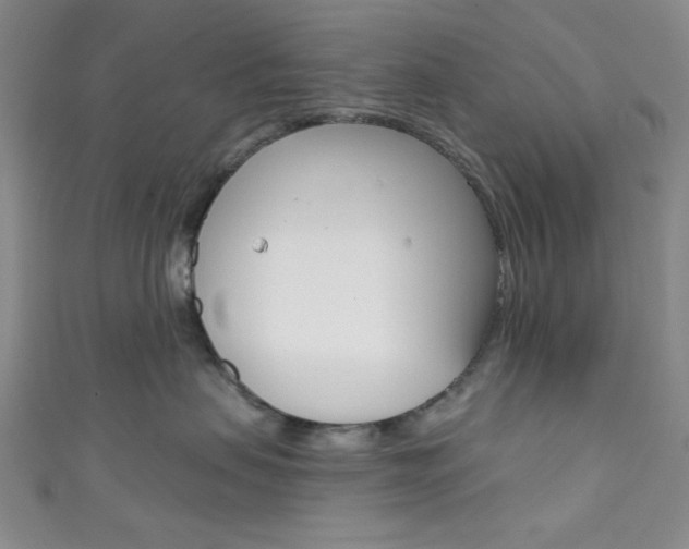 X0000111830479200907231026
