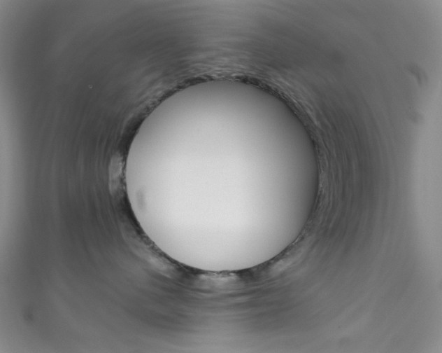 X0000111830480200907231026