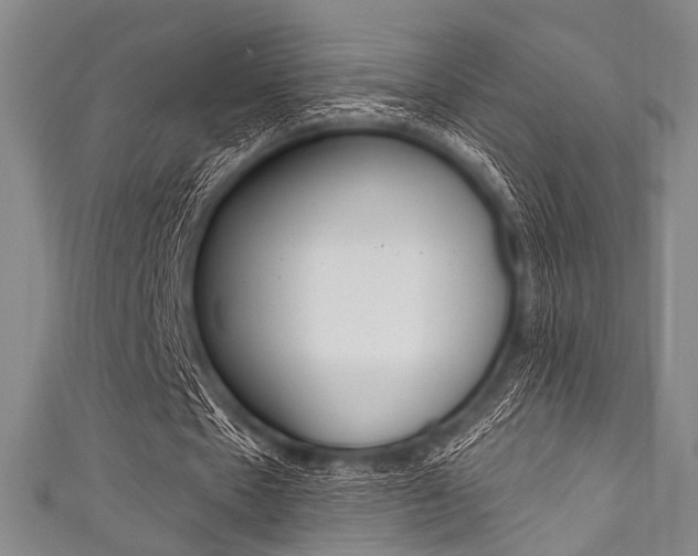 X0000111830481200907231025