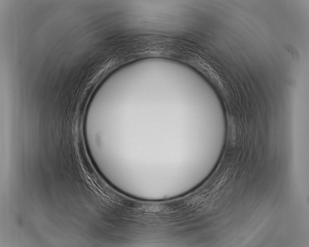 X0000111830482200907231025