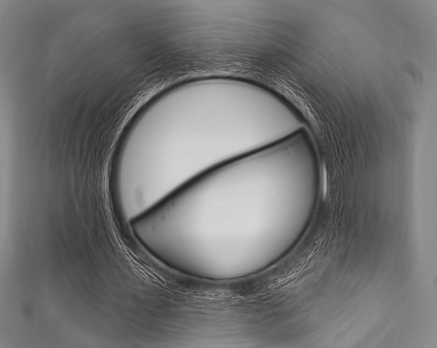 X0000111830483200907231025