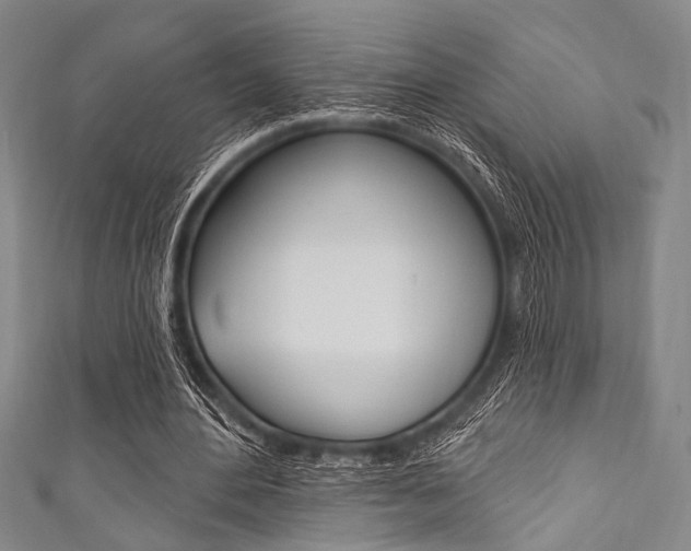 X0000111830484200907231025