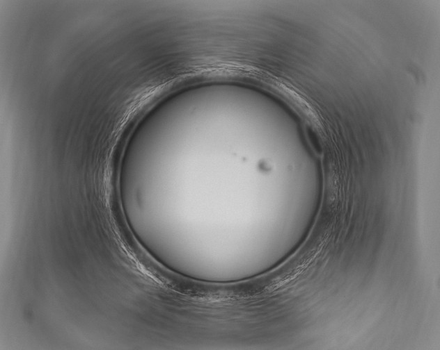 X0000111830485200907231025