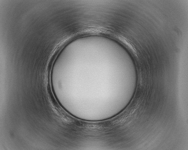 X0000111830486200907231025