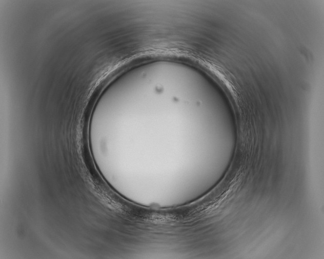 X0000111830487200907231025