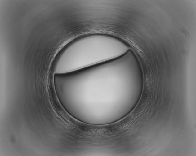 X0000111830488200907231025