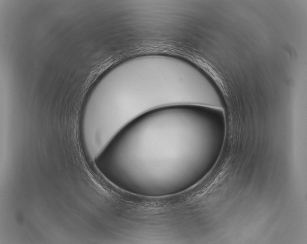 X0000111830489200907231025