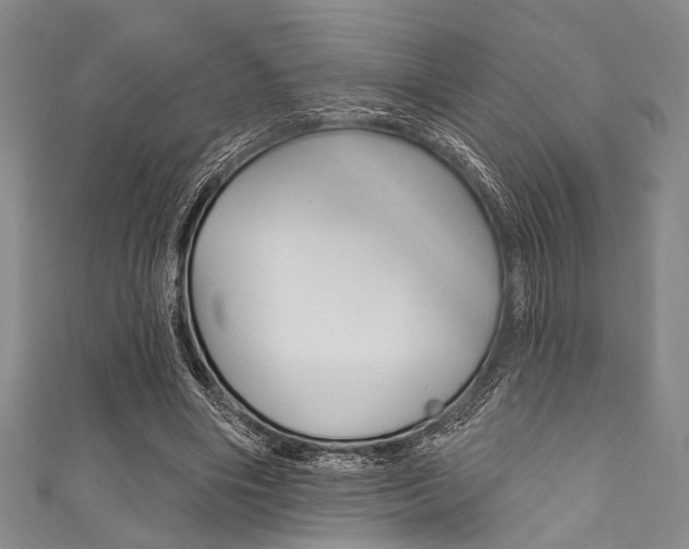 X0000111830490200907231025