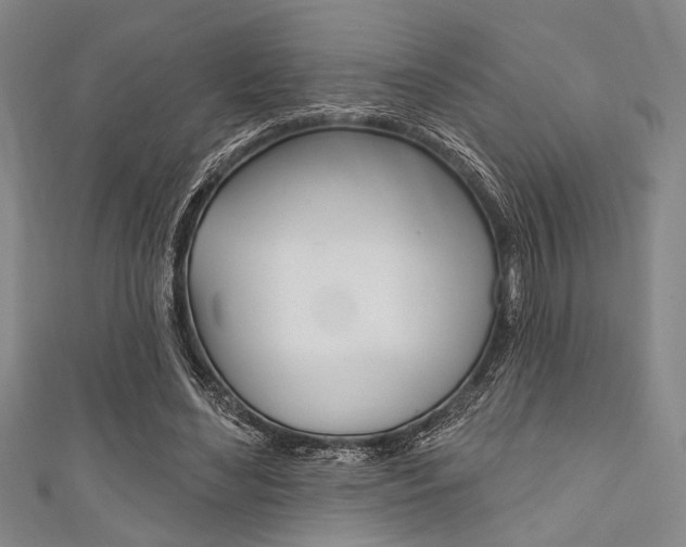 X0000111830492200907231025