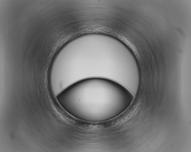 X0000111830493200907231025