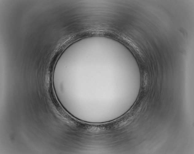 X0000111830494200907231025