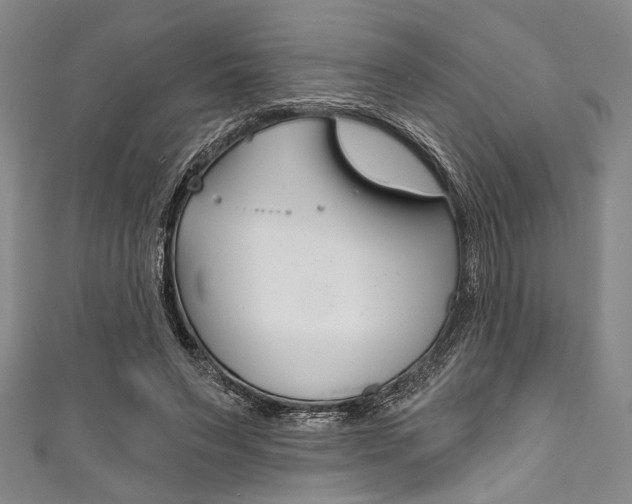 X0000111830495200907231025