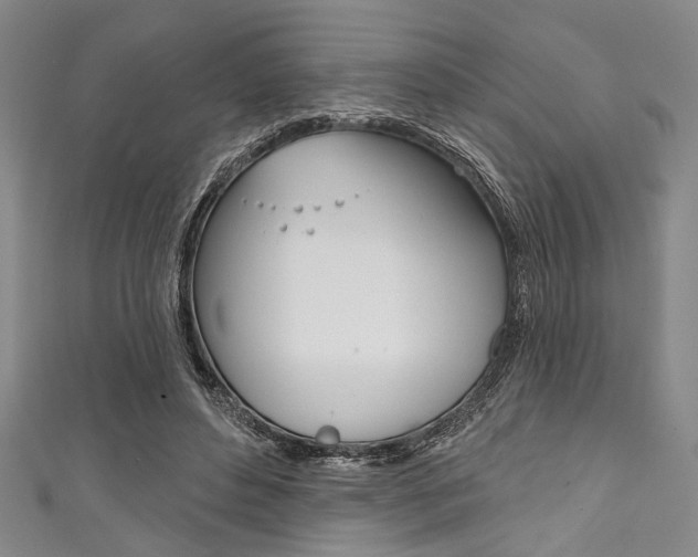 X0000111830496200907231025