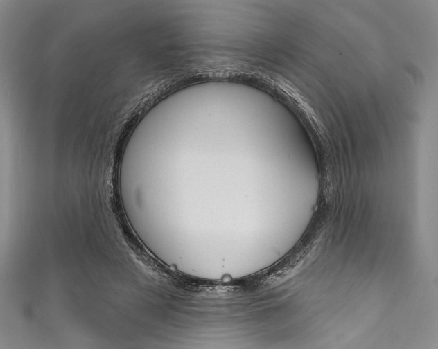 X0000111830497200907231025