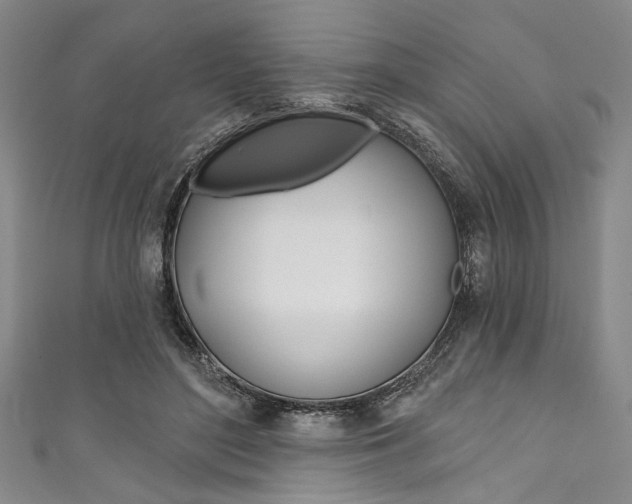 X0000111830500200907231025