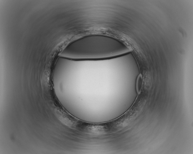 X0000111830501200907231025