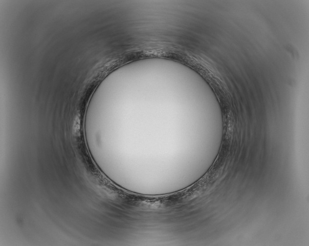 X0000111830502200907231025