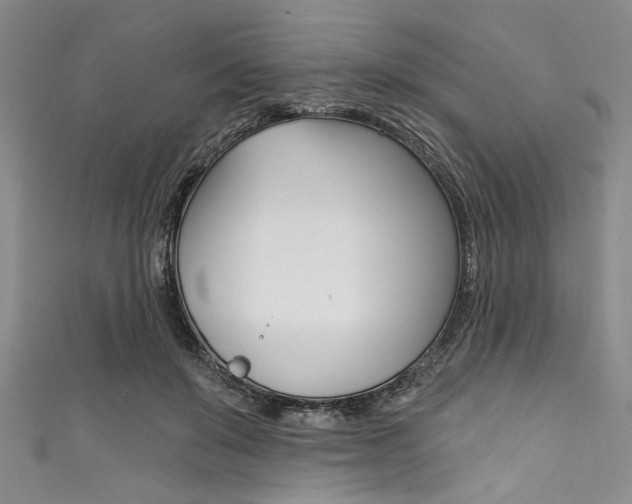 X0000111830503200907231025