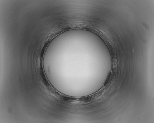 X0000111830504200907231025