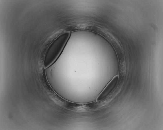X0000111830505200907231025