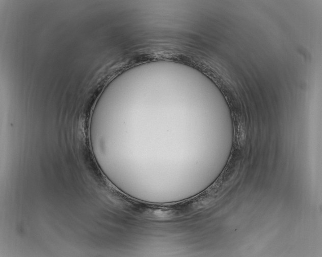X0000111830506200907231025